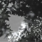 http://7ai8z63sfuedswvm.lightizm.com/files/gimgs/th-76_71_Nostalgia2_v2.jpg